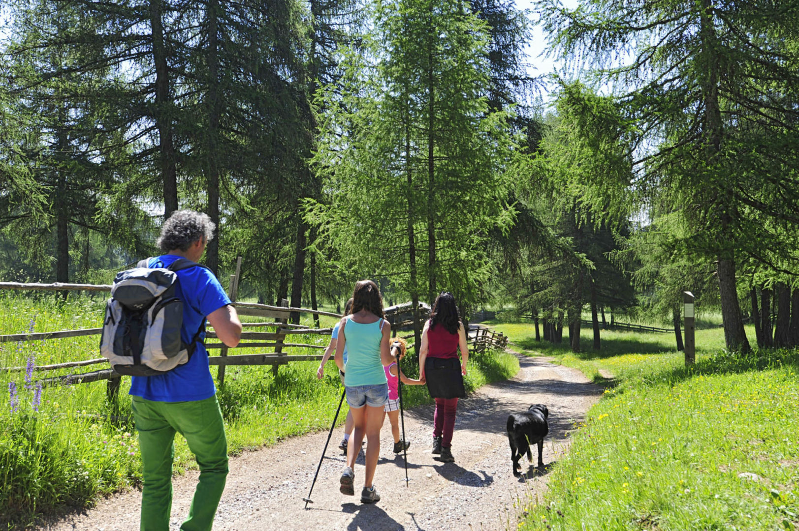 Wandern von Langfenn DSC8544 scaled - Wandern von Langfenn