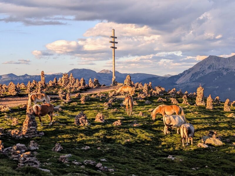 langfenn mölten meltina PXL_20240728_180539458~2